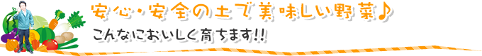 安心・安全の土で美味しい野菜♪こんなにおいしく育ちます！！